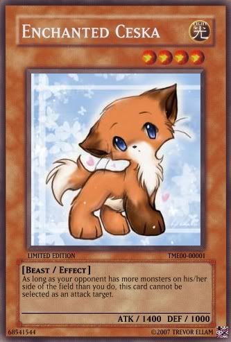 enchantedceska.jpg