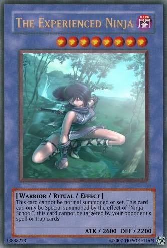 experiencedninja.jpg