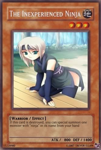 inexperiencedninja.jpg