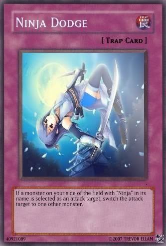 ninjadodge.jpg