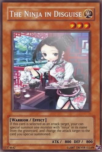 ninjaindisguise.jpg
