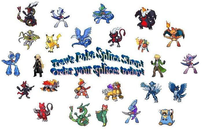 pokespliceshop3.jpg