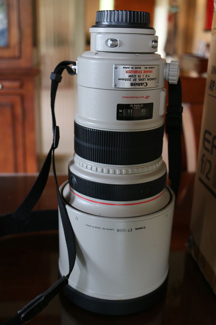 IMAGE: http://i263.photobucket.com/albums/ii122/55SAMBA/IMG_7323_zpsm2f1rato.jpg