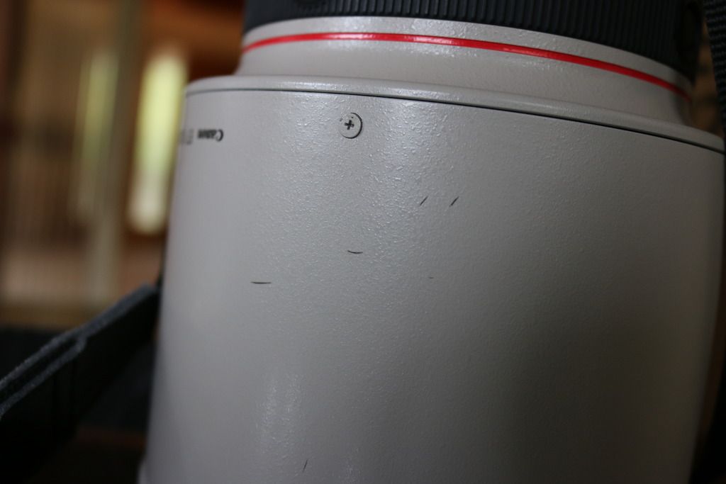 IMAGE: http://i263.photobucket.com/albums/ii122/55SAMBA/IMG_7324_zpsb4b2eljr.jpg