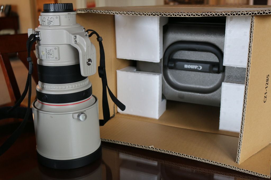 IMAGE: http://i263.photobucket.com/albums/ii122/55SAMBA/IMG_7329_zpsmbcxqcnz.jpg