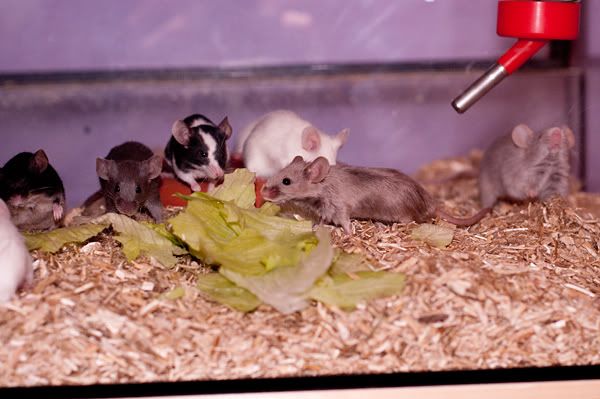 DSC_0179.jpg