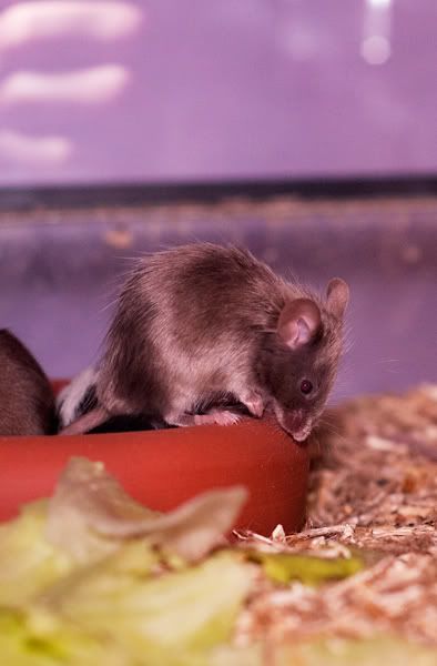 DSC_0214.jpg