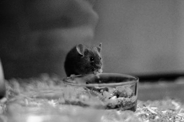 DSC_0378.jpg