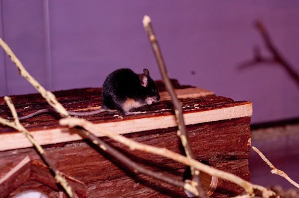DSC_0794.jpg
