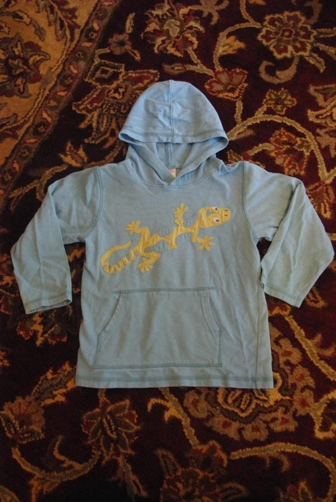 Gymboree Lizard Pullover 5T EUC Gymboree Lizard Pullover 5T EUC