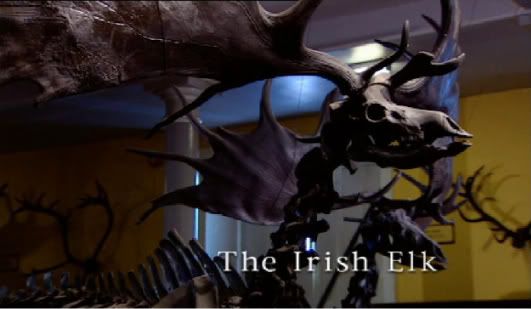 Extinct   e03   The Irish Elk (9th  October 2001)[PDTV (XviD)] preview 0