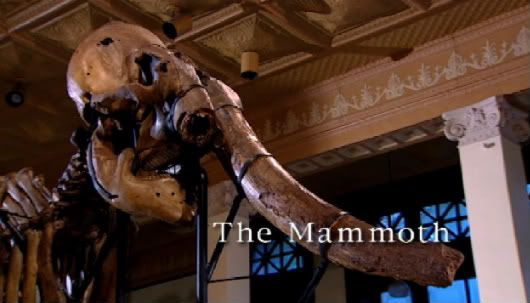 Extinct   e05   The Columbian Mammoth (23rd October 2001)[PDTV (XviD)] preview 0