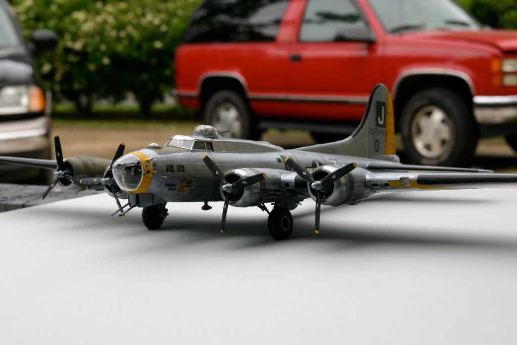 IMG_7981.jpg