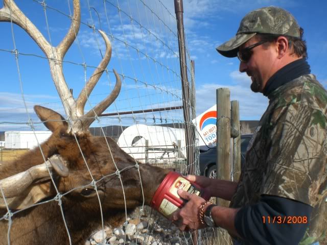 nov2008coloradohunt088.jpg