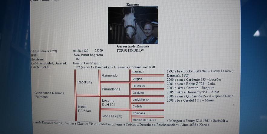 StamtavlaFoto.jpg