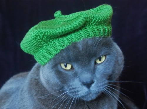 CatBeret.jpg