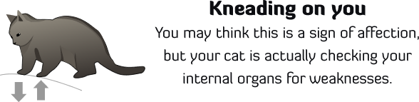 kneading.png