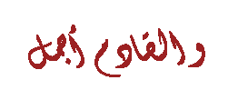 برنامج Nokia Software Updater لتحديث سوفتوير الجوال بالعربي