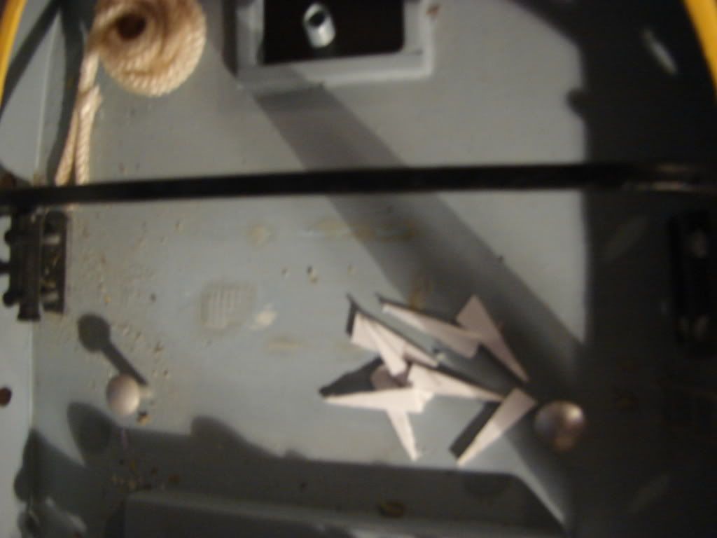 DSC02207.jpg