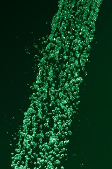 IMAGE: http://i263.photobucket.com/albums/ii129/mattograph/greenfall0067.jpg