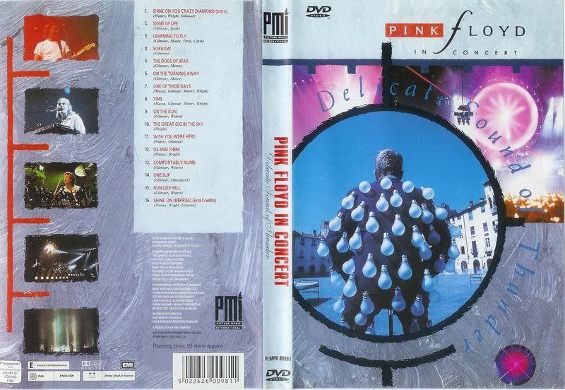 Pink_Floyd_Delicate_Sound_Of_Thunde.jpg