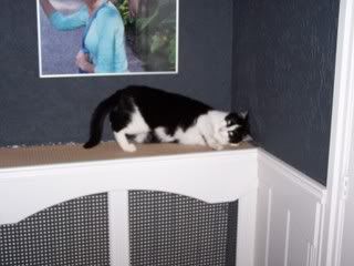 Slapen op de verwarming
