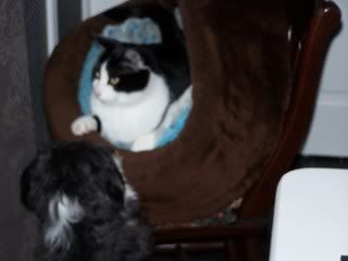 Mayko en Niki