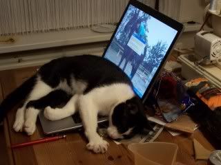 mayko laptop