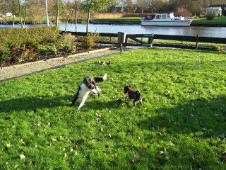 ff spelen in de tuin