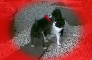 Mayko en Niki