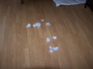 Sneeuwbui in de kamer