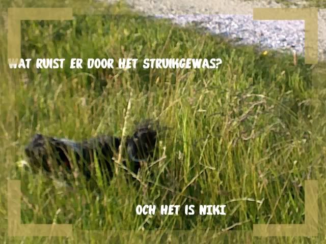 struikgewas