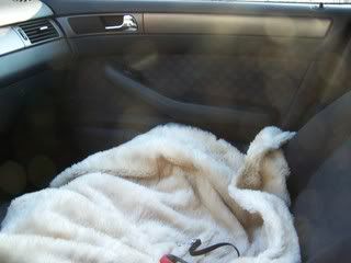 lege auto