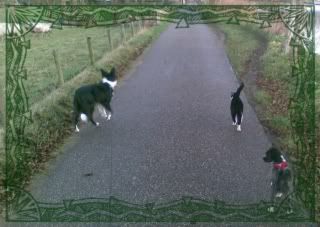 wandelen