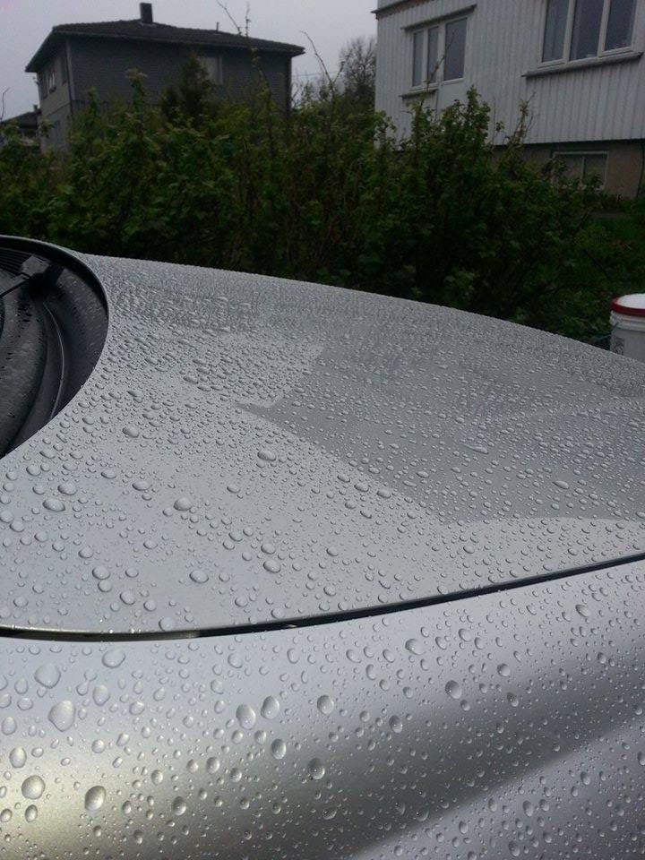 10373526_776636559034517_323873250865839