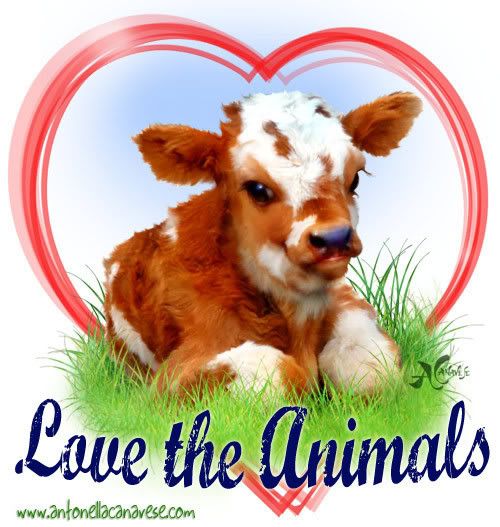 LOVE-THE-ANIMALS.jpg