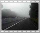 th_MOV01373.jpg