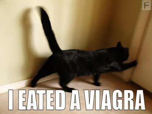 viagra.jpg