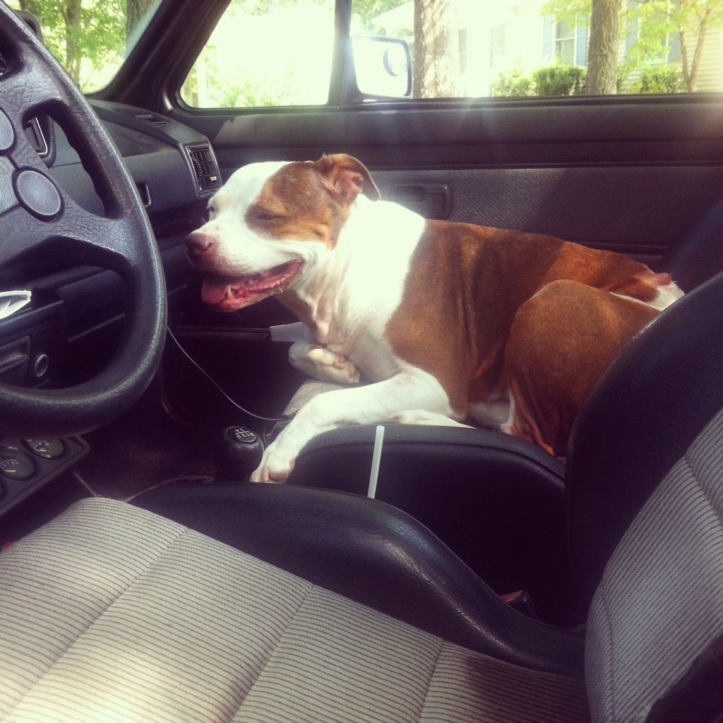 Cig lighter and Cd player stopped working VW Vortex Volkswagen Forum