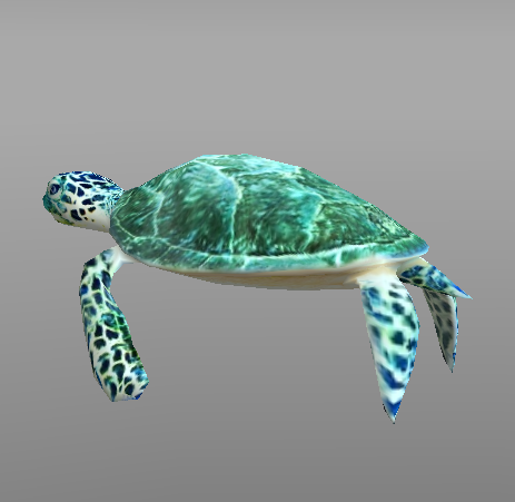  photo seaturtle_zps211fa391.png
