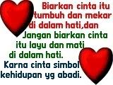 cinta
