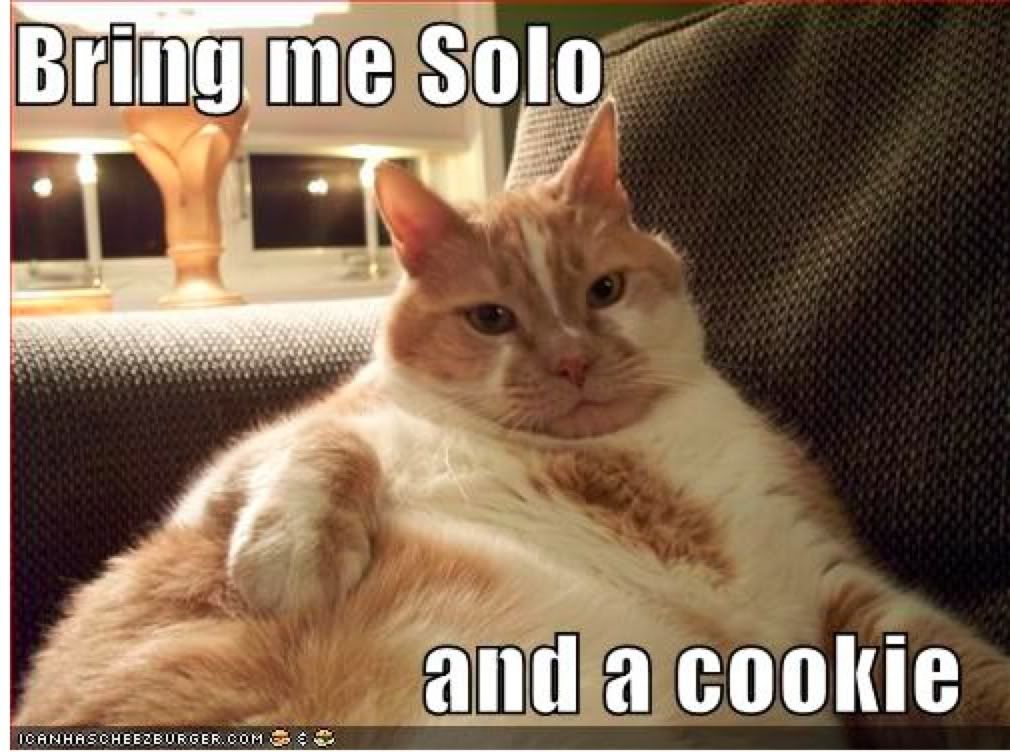 jabba da cat Pictures, Images and Photos