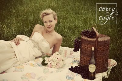 picnic bridal portrait at biltmore