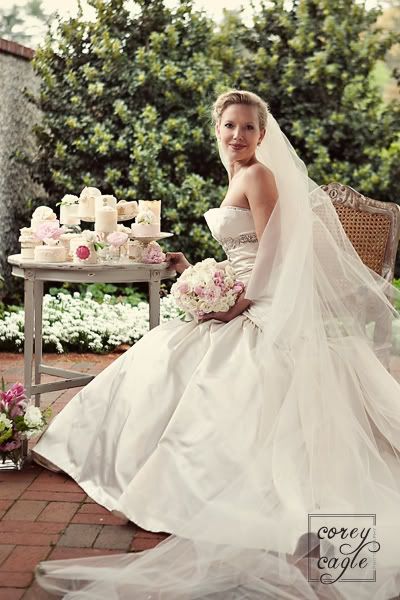 stylized bridal portrait at biltmore