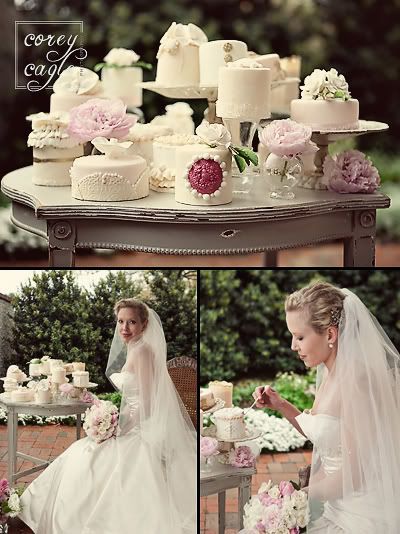 bridal portrait at biltmore estate