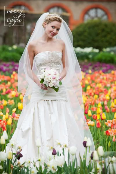 biltmore tulip festival wedding photo