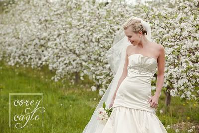 apple orchard bridal session