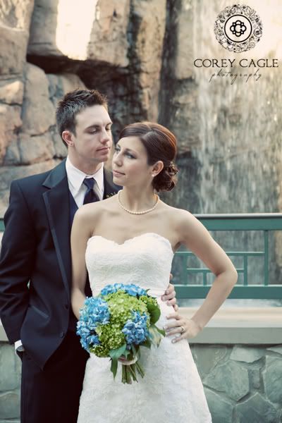 Grove Park Inn Waterfall Bride & Groom, Grove Park Inn  waterfall with bride and groom