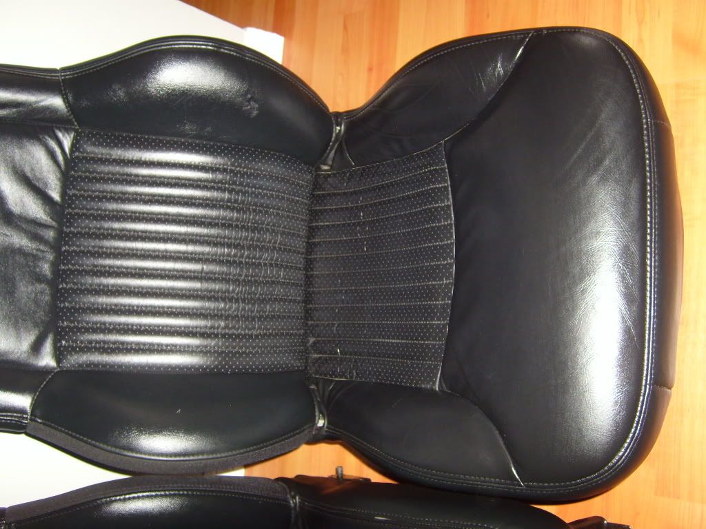 S7000843.jpg