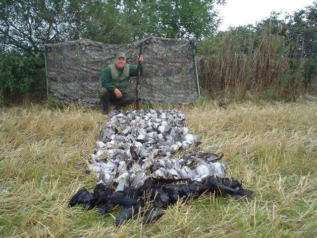 pigeonshooting002-1.jpg